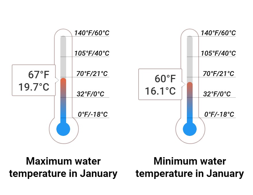 Average Sea temperature